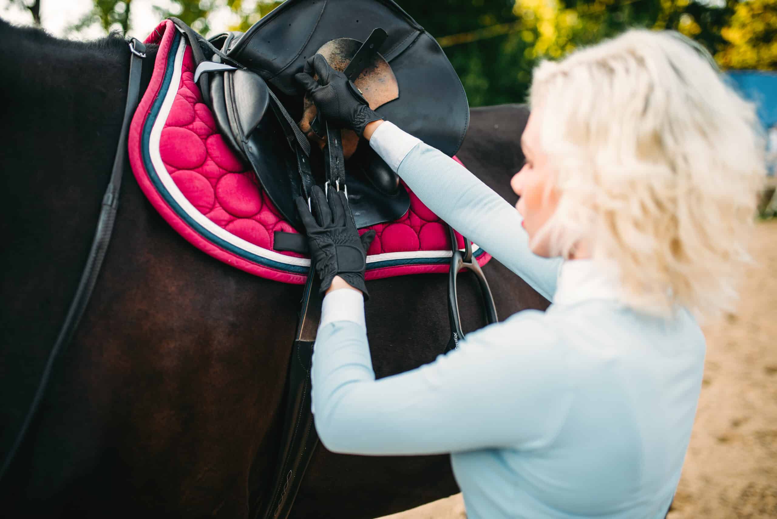 How Much Does A Horse Saddle Cost?
