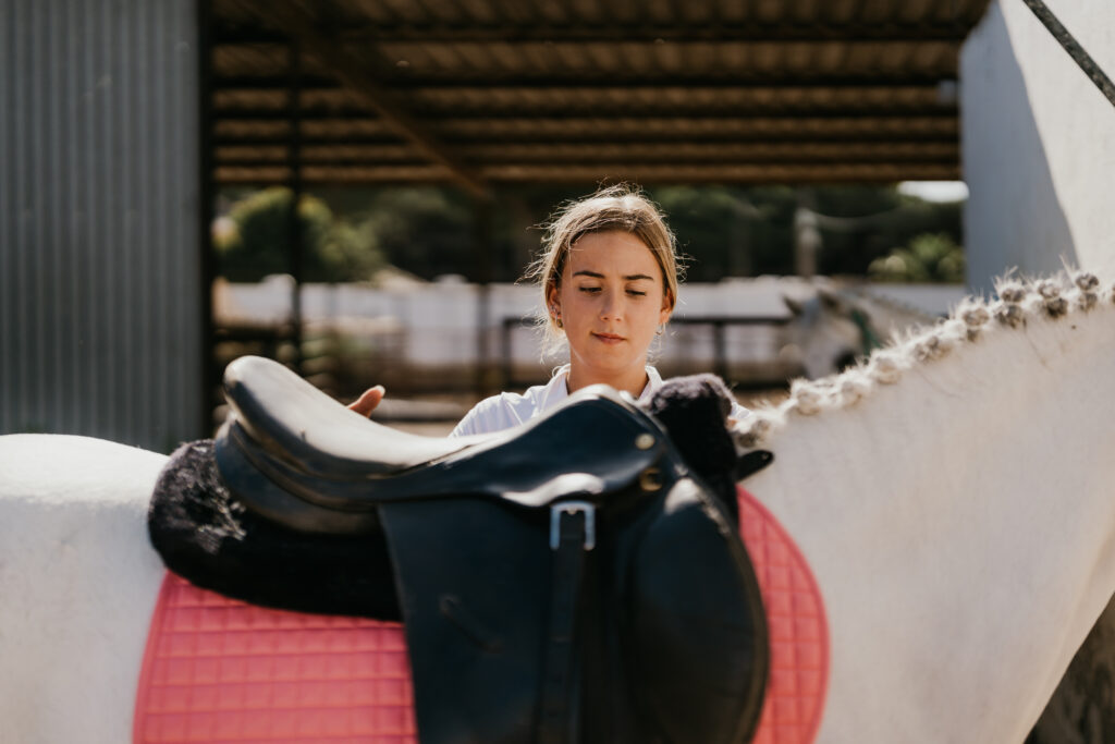 Placing A Saddle On A White Horse Breed