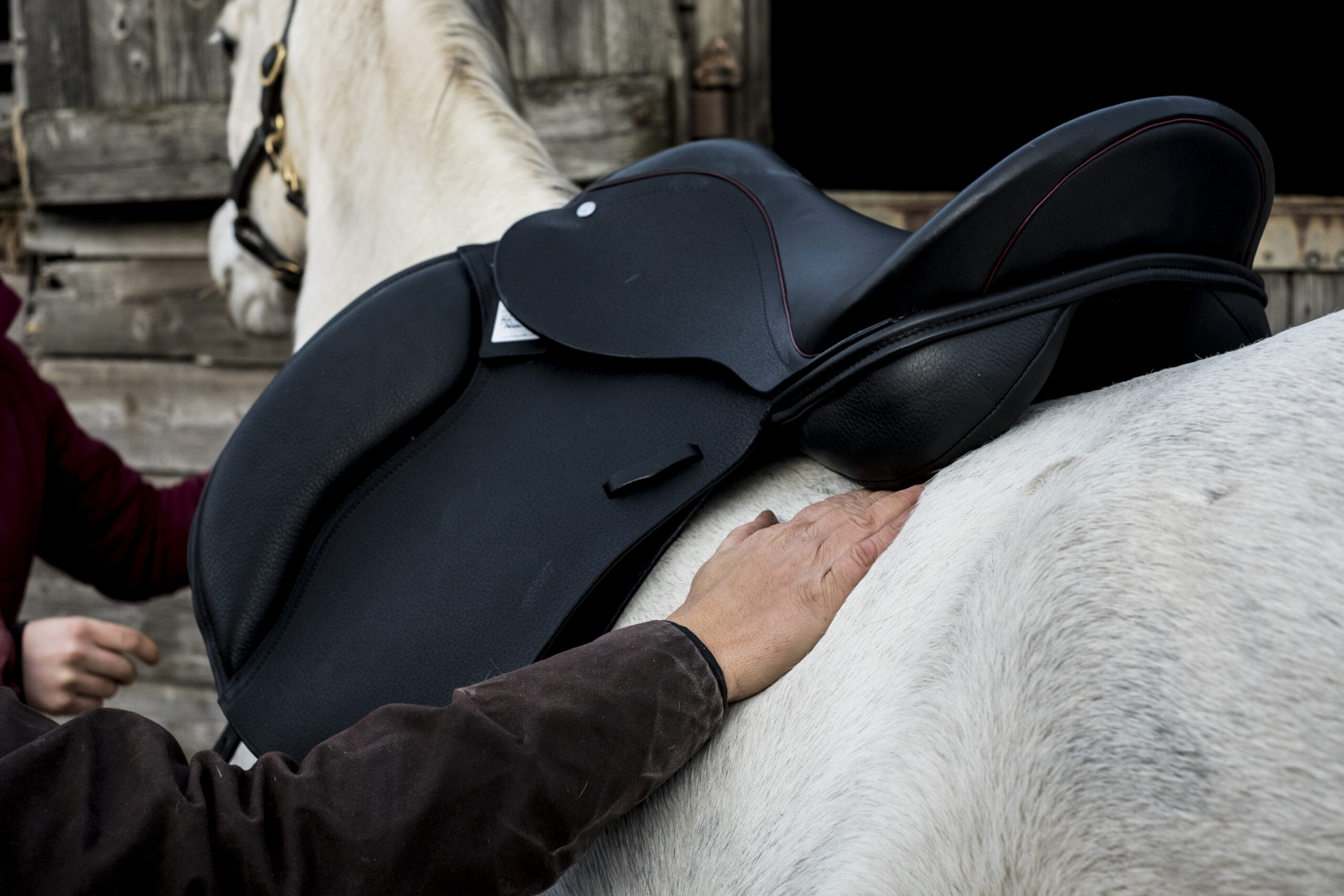 How Long Can You Leave A Saddle On A Horse?