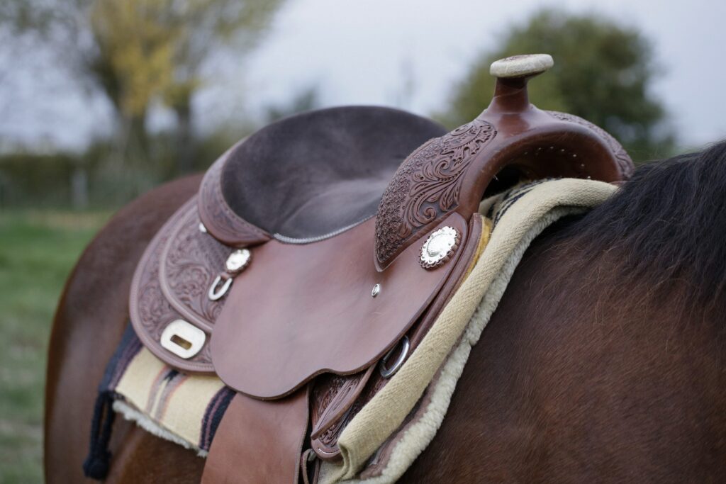 Horse Saddle Seat