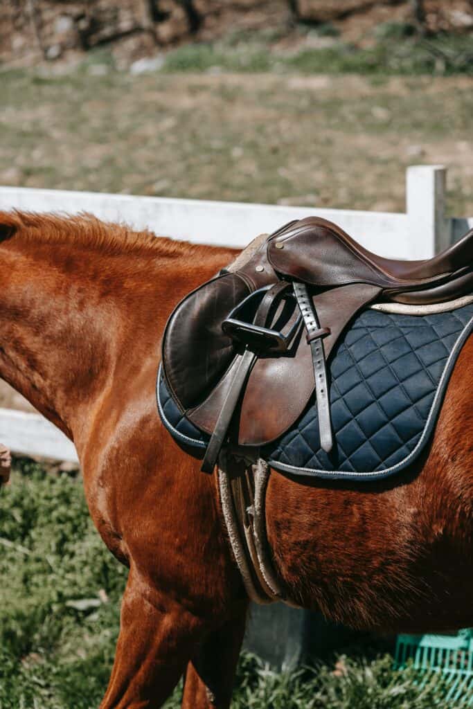 Comfortable Horse Saddle Pads