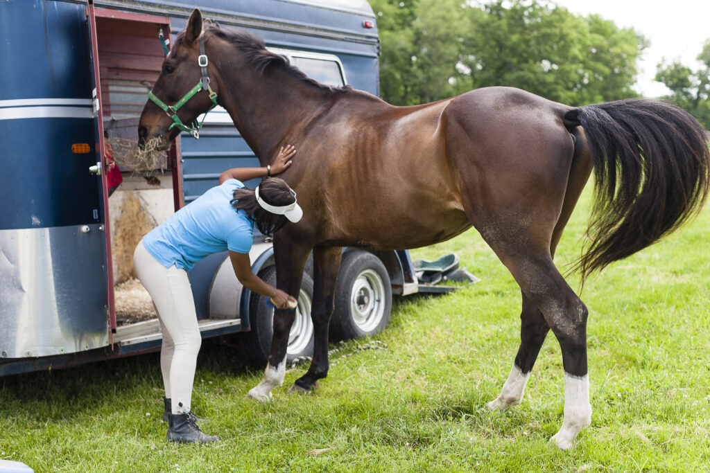 Preparing And Grooming Horse