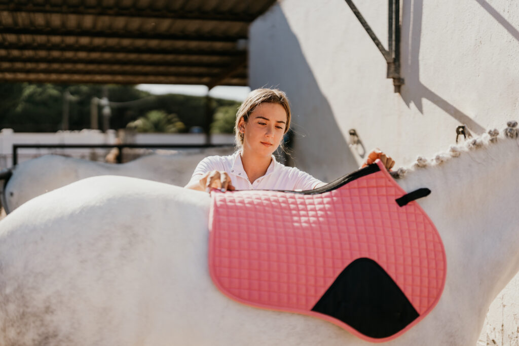 Placing A Pink Blanket On A White Horse